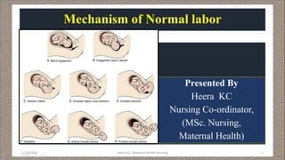 Mechanism of Normal labor
Presented By
Heera KC
Nursing Co-ordinator,
(MSc. Nursing,
Maternal Health)
1/13/2019 Heera KC: Maternal Health Nursing 1
 