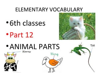 ELEMENTARY VOCABULARY

• 6th classes
• Part 12
• ANIMAL PARTS
    Horns
                          Tail
 