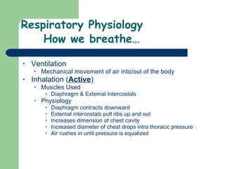 Respiratory Physiology How we breathe…  Ventilation Mechanical movement of air into/out of the body Inhalation ( Active ) Muscles Used Diaphragm & External Intercostals Physiology  Diaphragm contracts downward External intercostals pull ribs up and out Increases dimension of chest cavity Increased diameter of chest drops intra thoracic pressure Air rushes in until pressure is equalized  