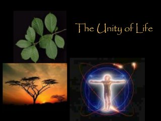 The Unity of Life

 