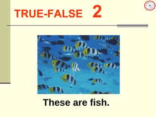 TRUE-FALSE   2 These are fish. 
