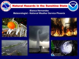 Natural Hazards in the Sunshine State
Bianca Hernandez
Meteorologist - National Weather Service Phoenix
 