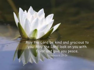 May the Lord be kind and gracious to
 you; May the Lord look on you with
      favor and give you peace.
            Numbers 6: 25-26
 