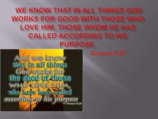 Romans 8:28
 