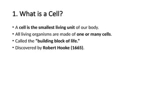 6th Standard The Invisible army (Cell).pptx