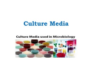 Culture Media
 