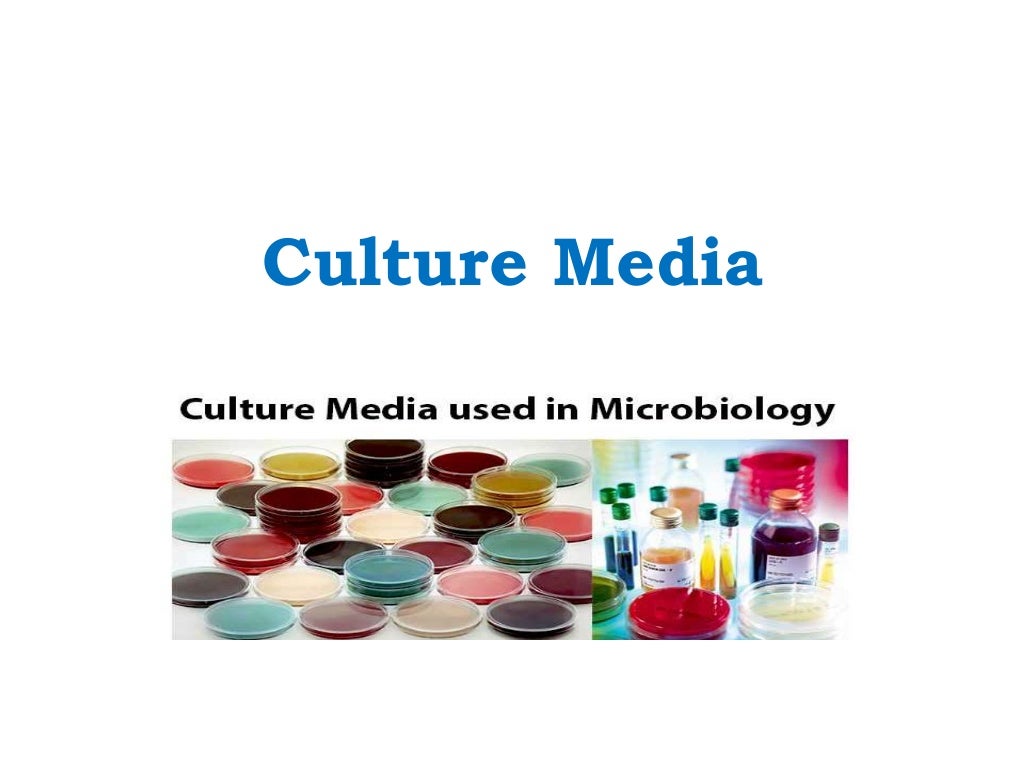 culture media