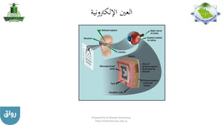 ‫اإللكرتونية‬ ‫العني‬
Prepared by Dr Nazeeh Alothmany
http://nothmany.kau.edu.sa
 