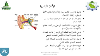 ‫ية‬‫ر‬‫البش‬ ‫األذن‬
•‫اء‬‫ز‬‫أج‬ ‫ثالث‬ ‫من‬ ‫األذن‬ ‫تتكون‬(‫األ‬‫و‬ ،‫الداخلية‬ ‫األذن‬‫ذن‬
‫اخلارجية‬ ‫األذن‬‫و‬ ،‫الوسطى‬)
•‫ا‬ ‫فتهتز‬ ‫اء‬‫و‬‫اهل‬ ‫ذبذبات‬ ‫عرب‬ ‫الصوت‬ ‫ينتقل‬‫حبسب‬ ‫لطبلة‬
‫اء‬‫و‬‫اهل‬ ‫از‬‫ز‬‫اهت‬
•‫ث‬ ‫عرب‬ ‫الوسطى‬ ‫لألذن‬ ‫الطبلة‬ ‫ات‬‫ز‬‫ا‬‫ز‬‫اهت‬ ‫تنتقل‬‫عظام‬ ‫الث‬
(‫كاب‬‫الر‬‫و‬ ‫السندان‬‫و‬ ‫املطرقة‬)
•‫هن‬ ‫يف‬ ‫توجد‬ ‫اليت‬ ‫للقوقعة‬ ‫ات‬‫ز‬‫ا‬‫ز‬‫االهت‬ ‫تدخل‬‫ات‬‫ري‬‫شع‬ ‫ايتها‬
‫ال‬ ‫العصب‬ ‫لتلمس‬ ‫ات‬‫ز‬‫ا‬‫ز‬‫االهت‬ ‫حبسب‬ ‫تتحرك‬‫سمعي‬
•‫بائي‬‫ر‬‫كه‬‫ات‬‫ر‬‫إلشا‬ ‫ات‬‫ري‬‫الشع‬ ‫ات‬‫ز‬‫ا‬‫ز‬‫اهت‬ ‫تتحول‬‫يقوم‬ ‫ة‬
‫للدماغ‬ ‫بنقلها‬ ‫السمعي‬ ‫العصب‬
•‫ليتع‬ ‫بائية‬‫ر‬‫الكه‬ ‫ات‬‫ر‬‫اإلشا‬ ‫بفهم‬ ‫الدماغ‬ ‫يقوم‬‫على‬ ‫رف‬
‫الصوت‬ ‫عليها‬ ‫دل‬ ‫اليت‬ ‫الكلمات‬
Prepared by Dr Nazeeh Alothmany
http://nothmany.kau.edu.sa
 