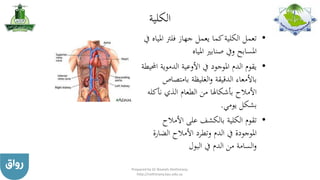 ‫الكلية‬
•‫امل‬ ‫فلرت‬ ‫جهاز‬ ‫يعمل‬ ‫كما‬‫الكلية‬ ‫تعمل‬‫يف‬ ‫ياه‬
‫املياه‬ ‫صنابري‬ ‫ويف‬ ‫املسابح‬
•‫الدموي‬ ‫األوعية‬ ‫يف‬ ‫املوجود‬ ‫الدم‬ ‫يقوم‬‫احمليطة‬ ‫ة‬
‫بامتصاص‬ ‫الغليظة‬‫و‬ ‫الدقيقة‬ ‫باألمعاء‬
‫نأكله‬ ‫الذي‬ ‫الطعام‬ ‫من‬ ‫بأشكاهلا‬ ‫األمالح‬
‫يومي‬ ‫بشكل‬.
•‫األمالح‬ ‫على‬ ‫بالكشف‬ ‫الكلية‬ ‫تقوم‬
‫الضار‬ ‫األمالح‬ ‫وتطرد‬ ‫الدم‬ ‫يف‬ ‫املوجودة‬‫ة‬
‫البول‬ ‫يف‬ ‫الدم‬ ‫من‬ ‫السامة‬‫و‬
Prepared by Dr Nazeeh Alothmany
http://nothmany.kau.edu.sa
 