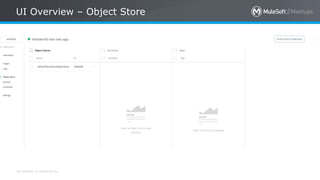 All contents © MuleSoft Inc.
UI Overview – Object Store
 