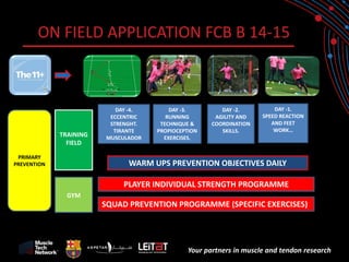 Your partners in muscle and tendon research 
ON FIELD APPLICATION FCB B 14-15 
PLAYER INDIVIDUAL STRENGTH PROGRAMME 
SQUAD PREVENTION PROGRAMME (SPECIFIC EXERCISES) 
WARM UPS PREVENTION OBJECTIVES DAILY 
GYM 
TRAINING FIELD 
PRIMARY PREVENTION 
DAY -4. 
ECCENTRIC STRENGHT. TIRANTE MUSCULADOR 
DAY -3. 
RUNNING TECHNIQUE & PROPIOCEPTION EXERCISES. 
DAY -2. 
AGILITY AND COORDINATION SKILLS. 
DAY -1. 
SPEED REACTION AND FEET WORK… 
 