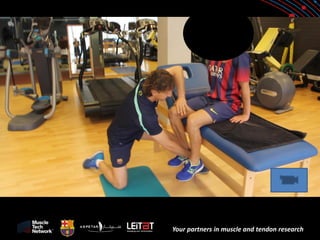 Your partners in muscle and tendon research  