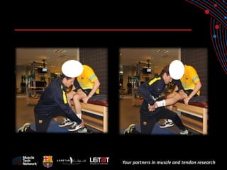 Your partners in muscle and tendon research  