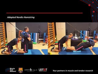 Your partners in muscle and tendon research 
Adapted Nordic-Hamstring  