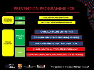 Your partners in muscle and tendon research 
PREVENTION PROGRAMME FCB 
PLAYER INDIVIDUAL STRENGTH PROGRAMME 
SQUAD PREVENTION PROGRAMME (SPECIFIC EXERCISES) 
WARM UPS PREVENTION OBJECTIVES DAILY 
STRENGTH CIRCUITS ON THE FIELD ( INJURIES) 
FOOTBALL CIRCUITS ON THE FIELD 
GYM 
TRAINING FIELD 
INDIVIDUAL PREVENTION PROGRAMME 
SMALL GROUPS PREVENTION CIRC. 
GYM 
FIELD 
SECUNDARY PREVENTION 
PRIMARY PREVENTION  