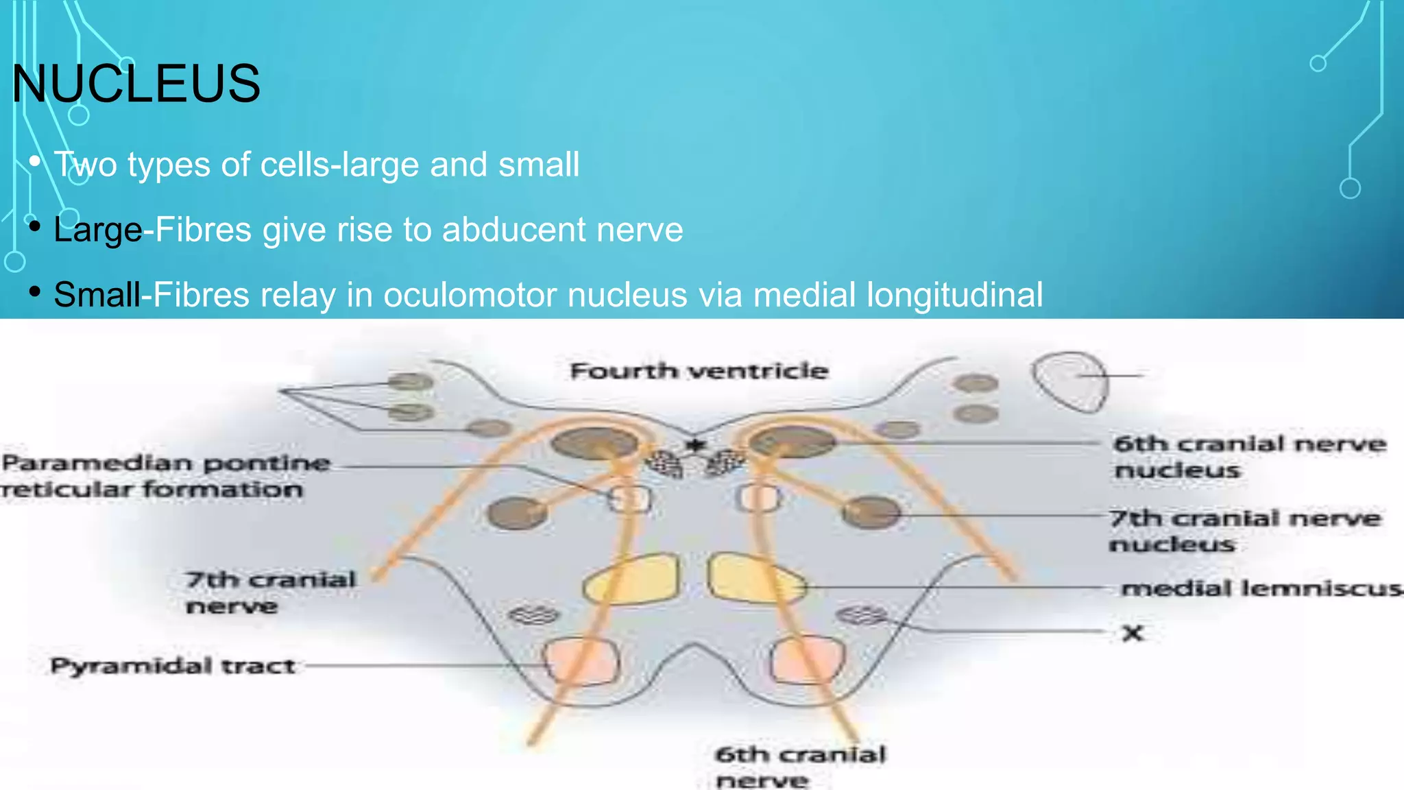 6 th nerve palsy | PPTX