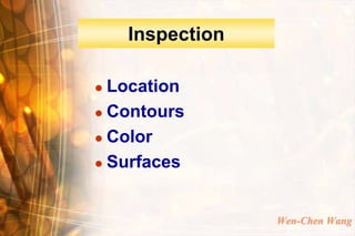 Inspection

 Location
 Contours

 Color

 Surfaces




                 Wen-Chen Wang
 