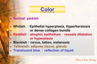 Color
   Normal: pinkish

   Whitish ：Epithelial hyperplasia, Hyperkeratosis
             or dense collagen bundle
   Reddish：atrophic epithelium、vessels dilatation
             or hyperplasia
   Blackish：nevus, tattoo, melanosis
   Yellowish: adipose tissue, glands
   Translucent blue ：reflection of liquid

                                         Wen-Chen Wang
 