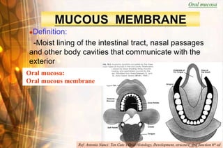 Oral mucosa


        MUCOUS MEMBRANE
Definition:
 -Moist lining of the intestinal tract, nasal passages
and other body cavities that communicate with the
exterior
Oral mucosa:
 
Oral mucous membrane




                                                                           Wen-Chen Wang
               Ref: Antonio Nanci: Ten Cate’s Oral Histology, Development, structure, and function 6th ed
 