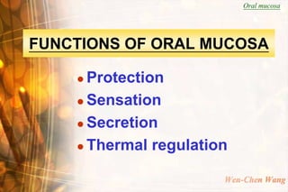 Oral mucosa




FUNCTIONS OF ORAL MUCOSA

     Protection
     Sensation

     Secretion

     Thermal regulation


                       Wen-Chen Wang
 