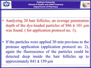 • Analyzing 20 hair follicles, an average penetration
depth of the dye-loaded particles of 886 ± 101 µm
was found. ( for application protocol no. 1),
• If the particles were applied 30 min previous to the
protease application (application protocol no. 2),
again the fluorescence of the particles could be
detected deep inside the hair follicles up to
approximately 841 ± 159 µm
 