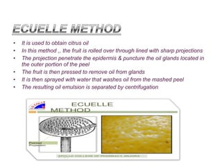 Eucelle Method