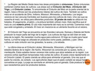 3 La Región del Medio Oeste tiene tres áreas principales o cinturones. Estos cinturones
contienen ciertos tipos de cultivos. Las áreas son el Cinturón del Maíz, elCinturón del
Trigo, y el Cinturón Lácteo. Tú encontrarás el Cinturón del Maíz en la parte oriental de la
región. Iowa e Illinois son los productores líderes del cultivo de maíz. También se cultiva
maíz en el occidente de Ohio, Indiana, Missouri, Minnesota, y Nebraska. Los largos
veranos en las Llanuras Centrales son buenos para los cultivos de maíz. Una vez que se
cosecha el maíz, se utiliza para diferentes productos. El jarabe de maíz se utiliza en los
helados. El pegamento, el jabón, y la pintura también utilizan maíz. Esto significa que el
maíz es una materia prima. El uso más importante del maíz es la comida. Comemos maíz
que está congelado y enlatado. El maíz en mazorca es un alimento favorito en el verano.
4 El Cinturón del Trigo se encuentra en las Grandes Llanuras. Kansas y Dakota del Norte
producen la mayor parte del trigo de la región. Los cultivos de trigo se dan bien en esta
área de la región. No necesitan mucha agua para sobrevivir. El trigo se muele para hacer
harina. La harina luego es utilizada en productos como pasta, pasteles, y pan. Otros
cultivos en este cinturón son los girasoles, la avena, y la cebada.
5 La última área es el Cinturón Lácteo. Minnesota, Wisconsin, y Michigan son los
estados lácteos de la región. De hecho, Wisconsin es conocido por su queso, leche, y
mantequilla. Estos estados tienen veranos más cortos que otros estados en la región. Los
veranos cortos significan temporadas más cortas de cultivo. El pasto crece rápidamente en
el Cinturón Lácteo. El pasto crecido se utiliza para alimentar al ganado. Una vez que el
pasto ha crecido, es cortado. Los agricultores dejan que el pasto cortado se seque hasta
convertirse en paja. La paja se convierte en alimento para el ganado. Este produce la leche
que necesitamos para los productos lácteos.
 