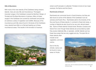 Hills & Mountains
With most of the main islands of the Caribbean being volcanic
islands, many are very hilly and mountainous. The largest
mountain ranges in the Caribbean include the Northern Range of
Trinidad and the Blue Mountains of Jamaica. Many of these
ranges in the Caribbean are covered by rainforests and provide
an extensive variety of vegetation and wildlife. Because of the
mountainous and hilly nature found in the lands of the Caribbean,
many islands have little to no flat land leading up to these
mountainous areas. This results in the formation of swamps
where runoﬀ rainwater is collected. Trinidad is home to two major
swamps, the Nariva and the Caroni.
Rainforests & Desert
Rainforests are commonly found in South America, but they are
also found on some of the islands of the Caribbean such as
Jamaica and Puerto Rico. Rainforests add to the diversity of the
flora and fauna of these islands. In contrast to these lush areas, a
number of islands are also found to be very arid, almost desert
like. Some of these islands include Aruba, Bonaire, Curacao and
Grand Turk. Even though these islands are surrounded by water
they receive relatively little, or sporadic, rainfall. Islands such as
these have areas that are very rugged and dry. The plant life on
these islands often
include scrub
vegetation, and even
cactus.
Due to the dry
climate, cactus can
be found in many
areas on Aruba.
58
Photo credit: Brian Dufort
Arikok National Park, Aruba
Image source: http://en.wikipedia.org/wiki/Arikok_National_Park#/media/
File:Arikok_NP.jpg
 