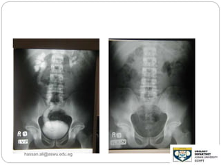 hassan.ali@aswu.edu.eg
 