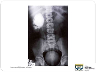 hassan.ali@aswu.edu.eg
 