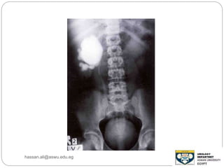 hassan.ali@aswu.edu.eg
 