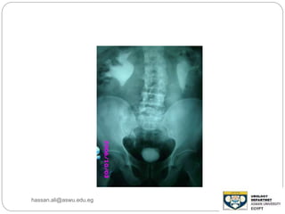hassan.ali@aswu.edu.eg
 