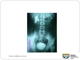hassan.ali@aswu.edu.eg
 
