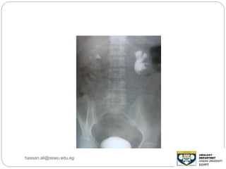 hassan.ali@aswu.edu.eg
 