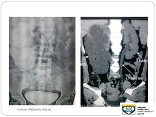 hassan.ali@aswu.edu.eg
 