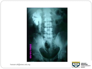 hassan.ali@aswu.edu.eg
 