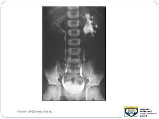 hassan.ali@aswu.edu.eg
 