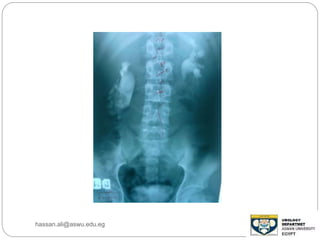 hassan.ali@aswu.edu.eg
 