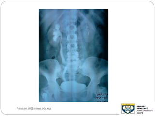 hassan.ali@aswu.edu.eg
 