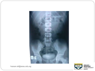 hassan.ali@aswu.edu.eg
 