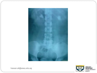 hassan.ali@aswu.edu.eg
 