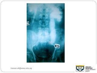 hassan.ali@aswu.edu.eg
 