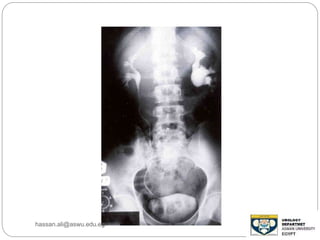 hassan.ali@aswu.edu.eg
 