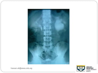 hassan.ali@aswu.edu.eg
 