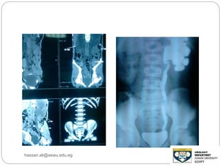hassan.ali@aswu.edu.eg
 