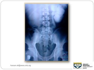 hassan.ali@aswu.edu.eg
 