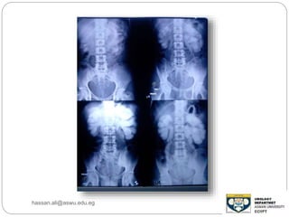 hassan.ali@aswu.edu.eg
 