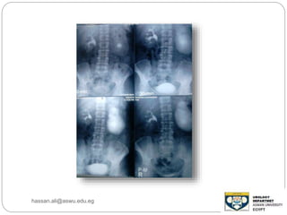 hassan.ali@aswu.edu.eg
 