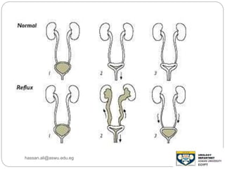 hassan.ali@aswu.edu.eg
 